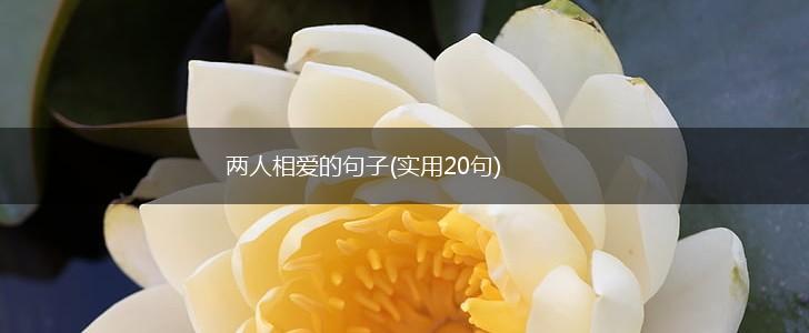 两人相爱的句子(实用20句),第1张