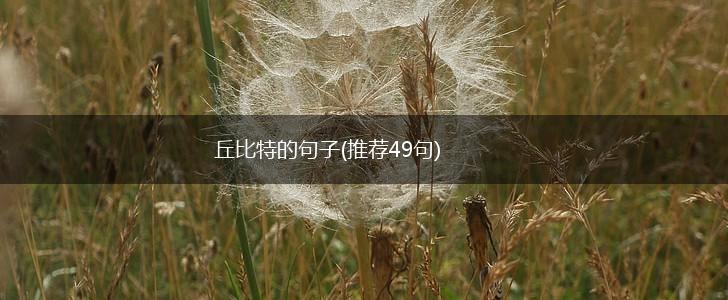 丘比特的句子(推荐49句),第1张
