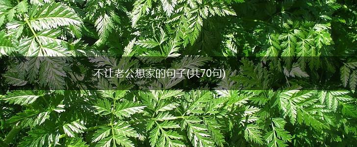 不让老公想家的句子(共70句),第1张