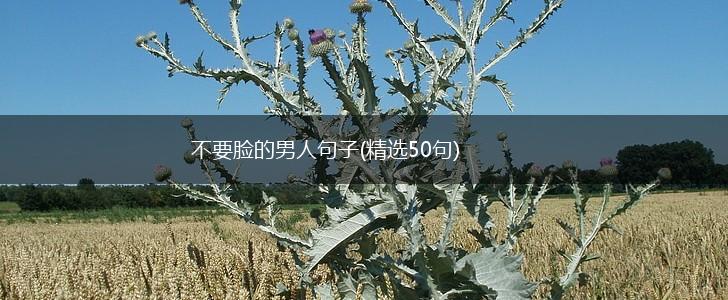 不要脸的男人句子(精选50句),第1张