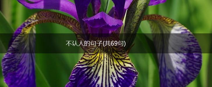 不认人的句子(共69句),第1张