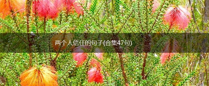 两个人信任的句子(合集47句),第1张