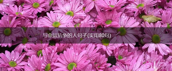 与命运抗争的人句子(实用80句),第1张