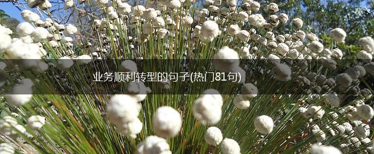 业务顺利转型的句子(热门81句),第1张