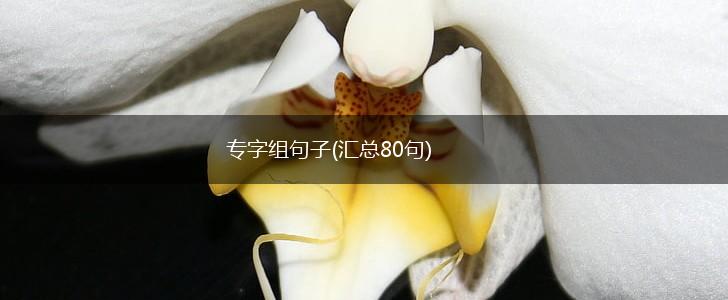 专字组句子(汇总80句),第1张