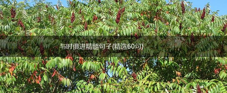 与时俱进精髓句子(精选60句),第1张