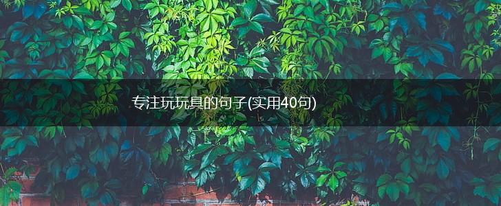 专注玩玩具的句子(实用40句),第1张