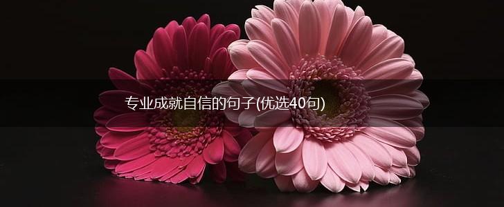 专业成就自信的句子(优选40句),第1张