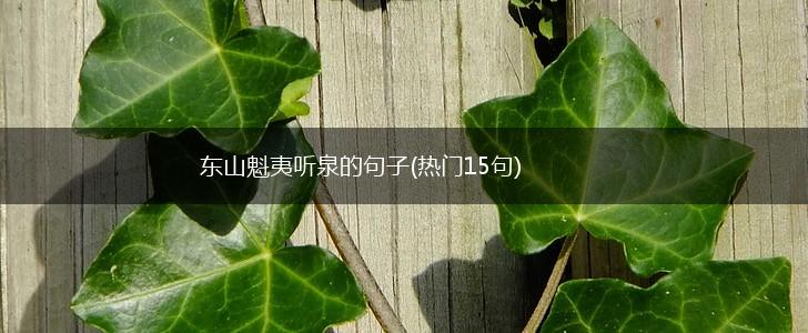 东山魁夷听泉的句子(热门15句),第1张