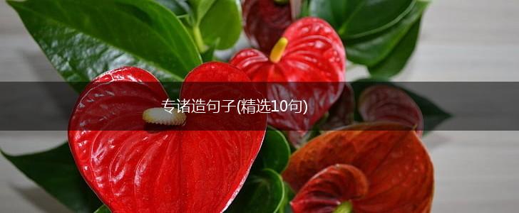 专诸造句子(精选10句),第1张