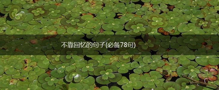不靠回忆的句子(必备78句),第1张