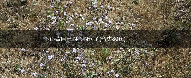 不违背自己的心的句子(合集80句),第1张