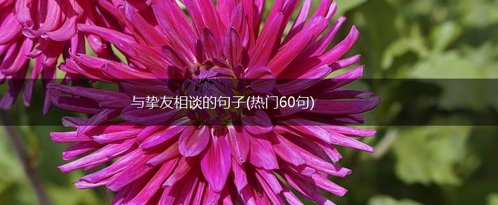 与挚友相谈的句子(热门60句),第1张