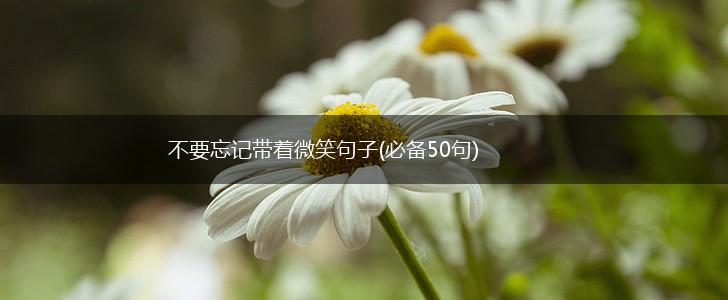 不要忘记带着微笑句子(必备50句),第1张