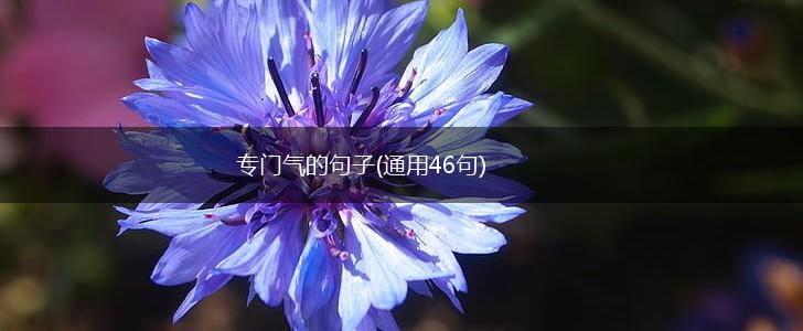 专门气的句子(通用46句),第1张