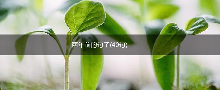 两年前的句子(40句),第1张