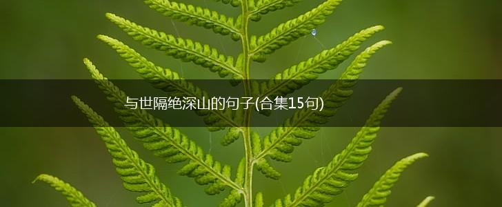 与世隔绝深山的句子(合集15句),第1张