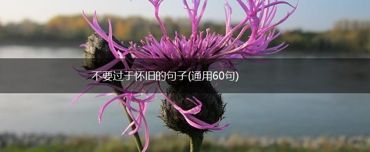 不要过于怀旧的句子(通用60句),第1张