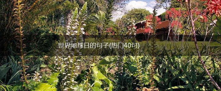 世界地球日的句子(热门40句),第1张