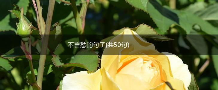 不言愁的句子(共50句),第1张