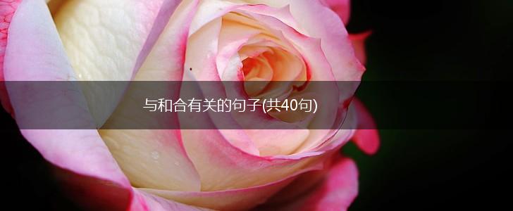 与和合有关的句子(共40句),第1张