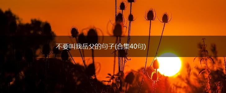 不要叫我岳父的句子(合集40句),第1张