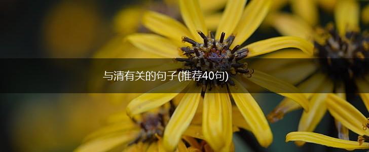 与清有关的句子(推荐40句),第1张