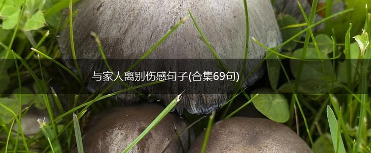 与家人离别伤感句子(合集69句),第1张