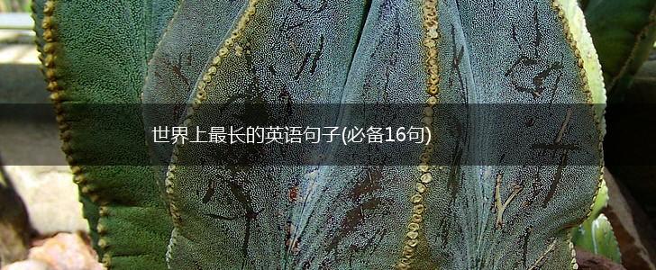 世界上最长的英语句子(必备16句),第1张