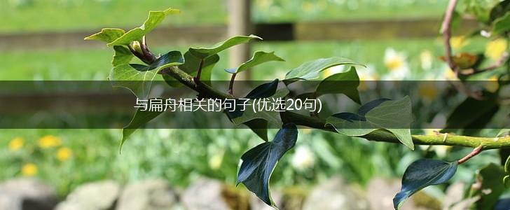 与扁舟相关的句子(优选20句),第1张