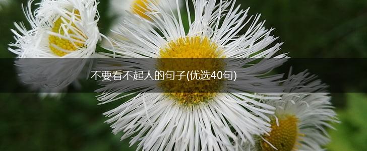 不要看不起人的句子(优选40句),第1张