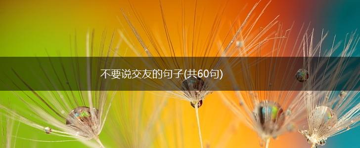 不要说交友的句子(共60句),第1张