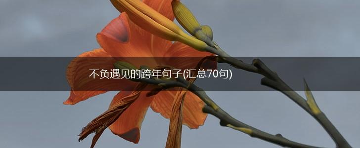 不负遇见的跨年句子(汇总70句),第1张
