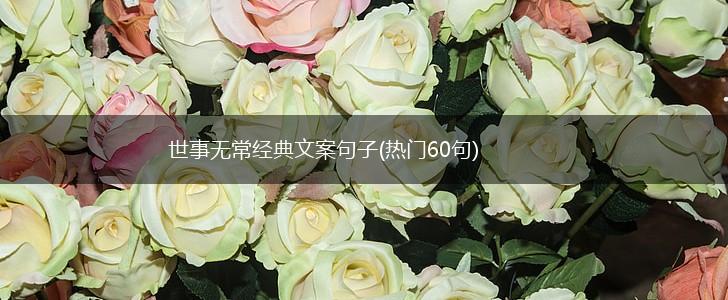 世事无常经典文案句子(热门60句),第1张