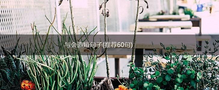 与会造短句子(推荐60句),第1张
