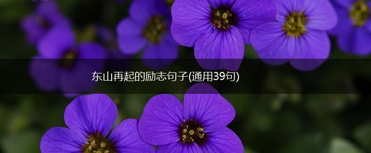 东山再起的励志句子(通用39句),第1张