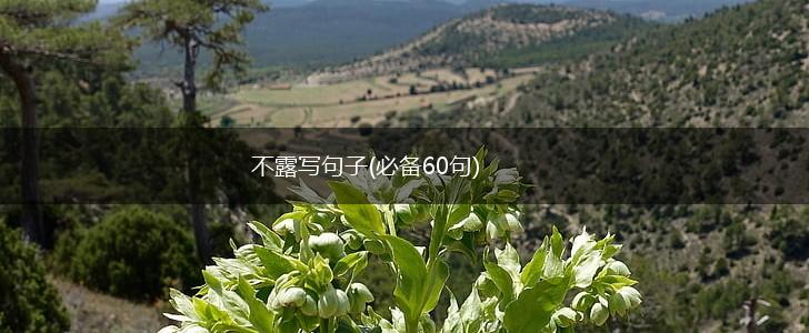 不露写句子(必备60句),第1张