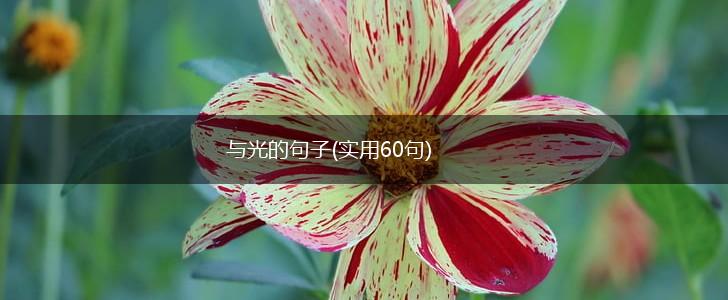 与光的句子(实用60句),第1张