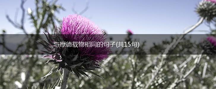 与厚德载物相同的句子(共15句),第1张