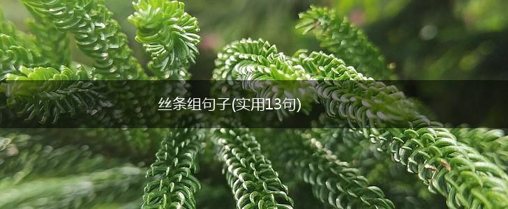 丝条组句子(实用13句),第1张