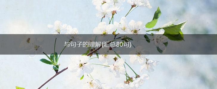 与句子的理解(汇总80句),第1张