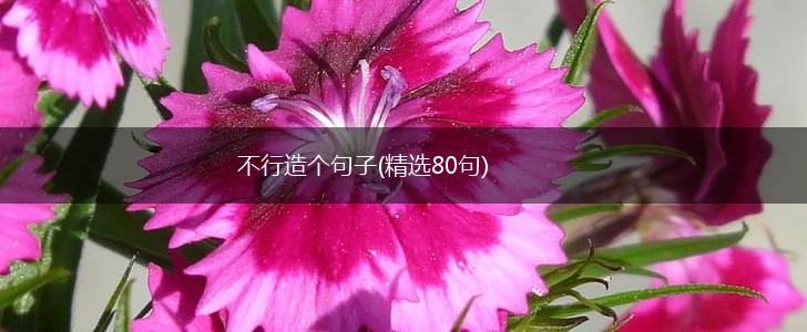 不行造个句子(精选80句),第1张