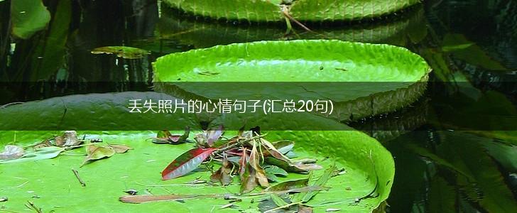 丢失照片的心情句子(汇总20句),第1张
