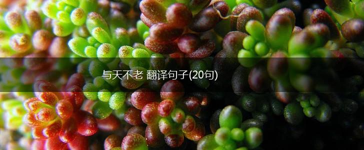 与天不老 翻译句子(20句),第1张