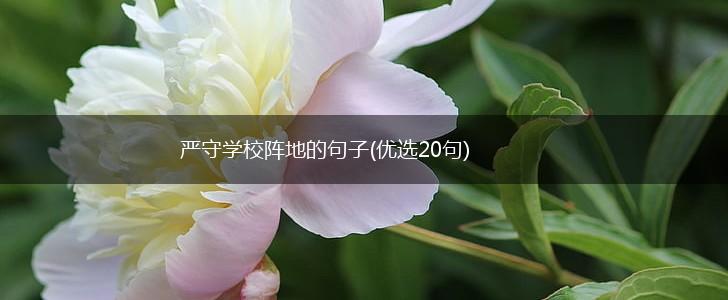 严守学校阵地的句子(优选20句),第1张