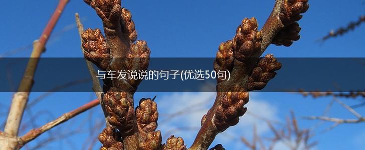 与车发说说的句子(优选50句),第1张