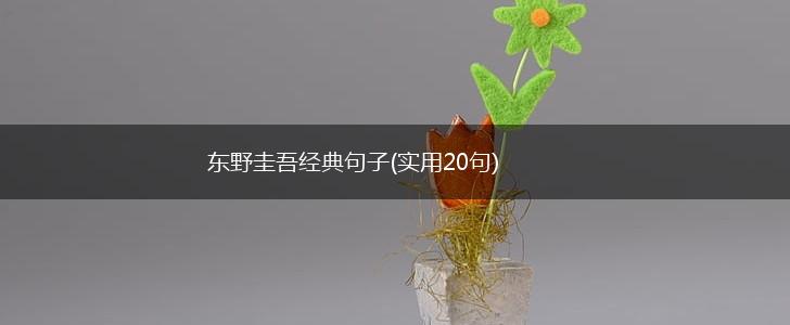 东野圭吾经典句子(实用20句),第1张
