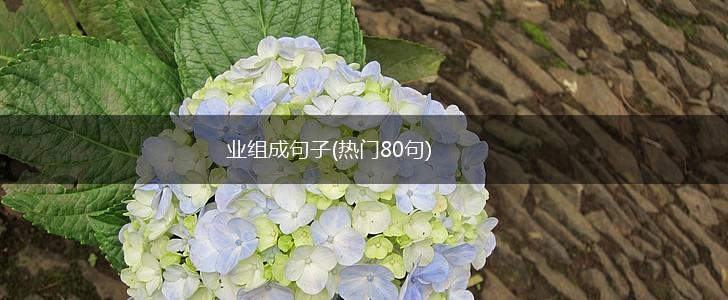 业组成句子(热门80句),第1张