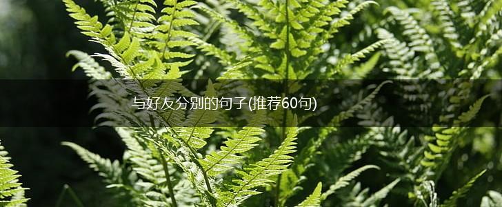与好友分别的句子(推荐60句),第1张