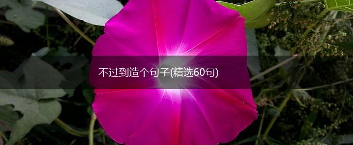 不过到造个句子(精选60句),第1张